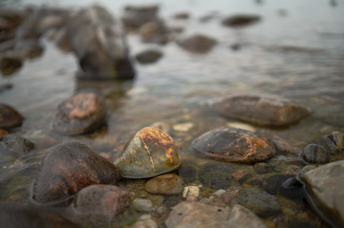 shoreline rocks