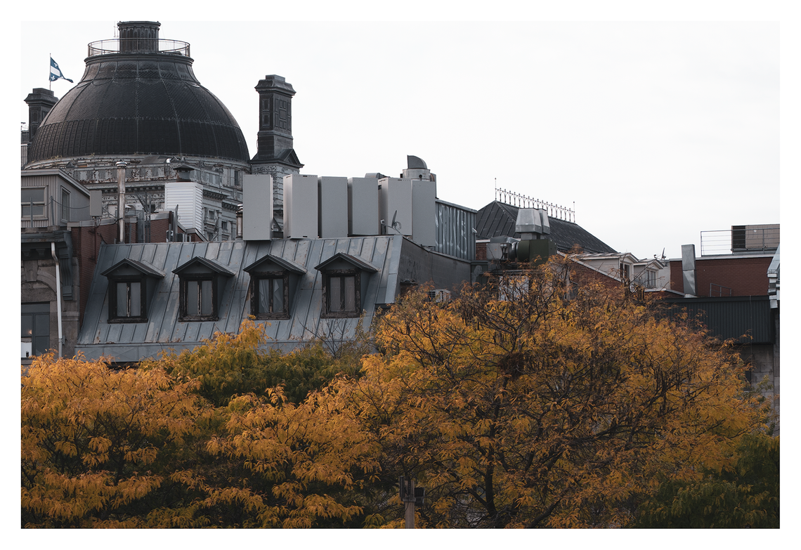 montreal colours