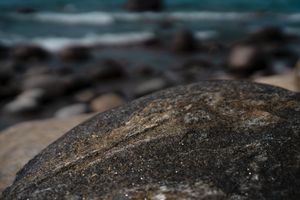 rock detail, georgian bay