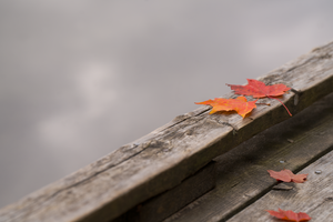 first fall