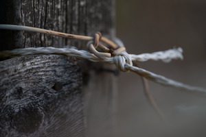 in a knot