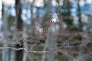 light as a feather