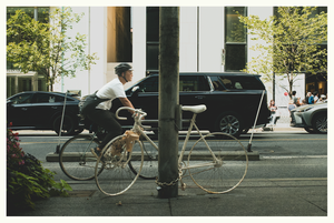 ghost bike, live bike