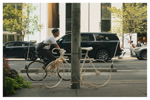 ghost bike, live bike