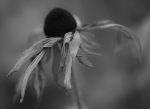 september
