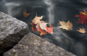 afloat