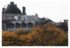 montreal colours
